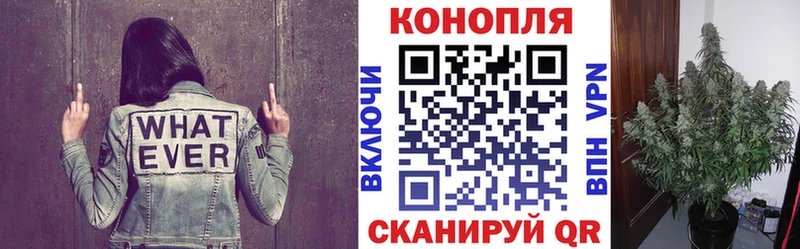 Где продают наркотики Тында Канабис  APVP  Гашиш  МЕФ  Cocaine 