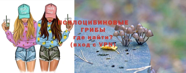 амфетамин Алексеевка