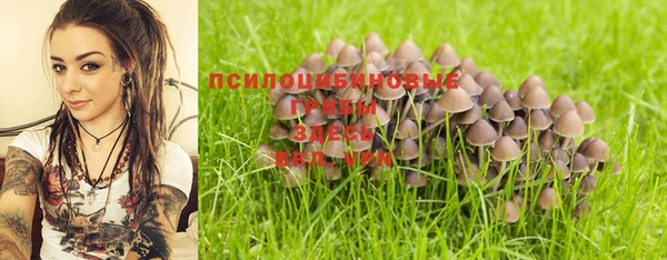 бутират Алзамай