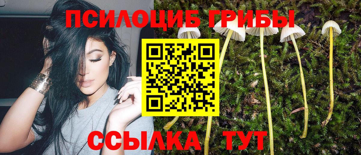 Галлюциногенные грибы мицелий  Галлюциногенные грибы GOLDEN TEACHER  Тында  Вход с VPN 